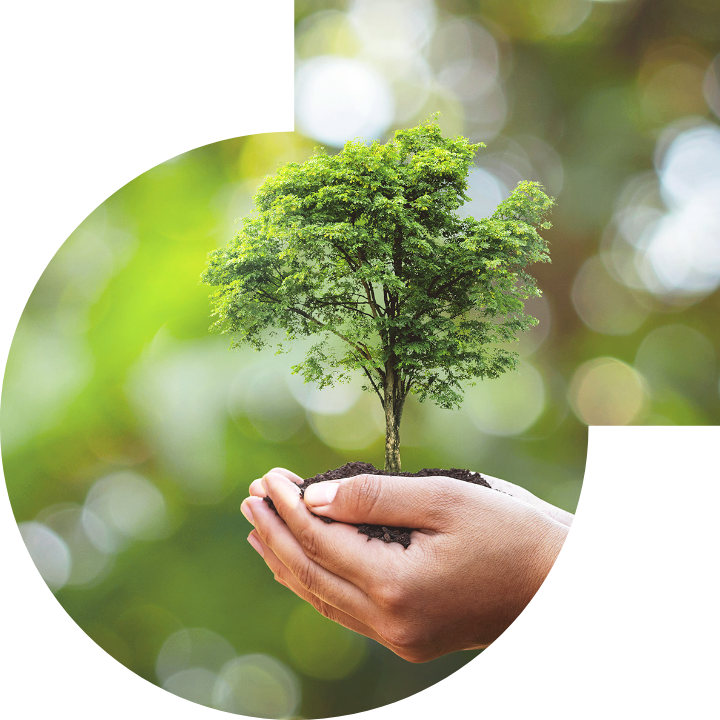 关怀人类、文化、环境与社会